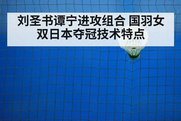 badminton net play